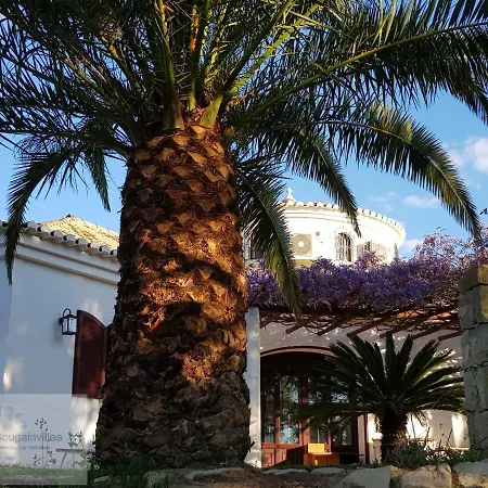 Monte-bougainvillea Aparthotel