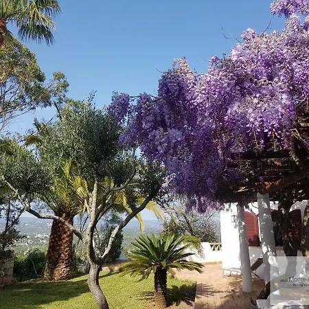 Monte-bougainvillea * Azinheiro